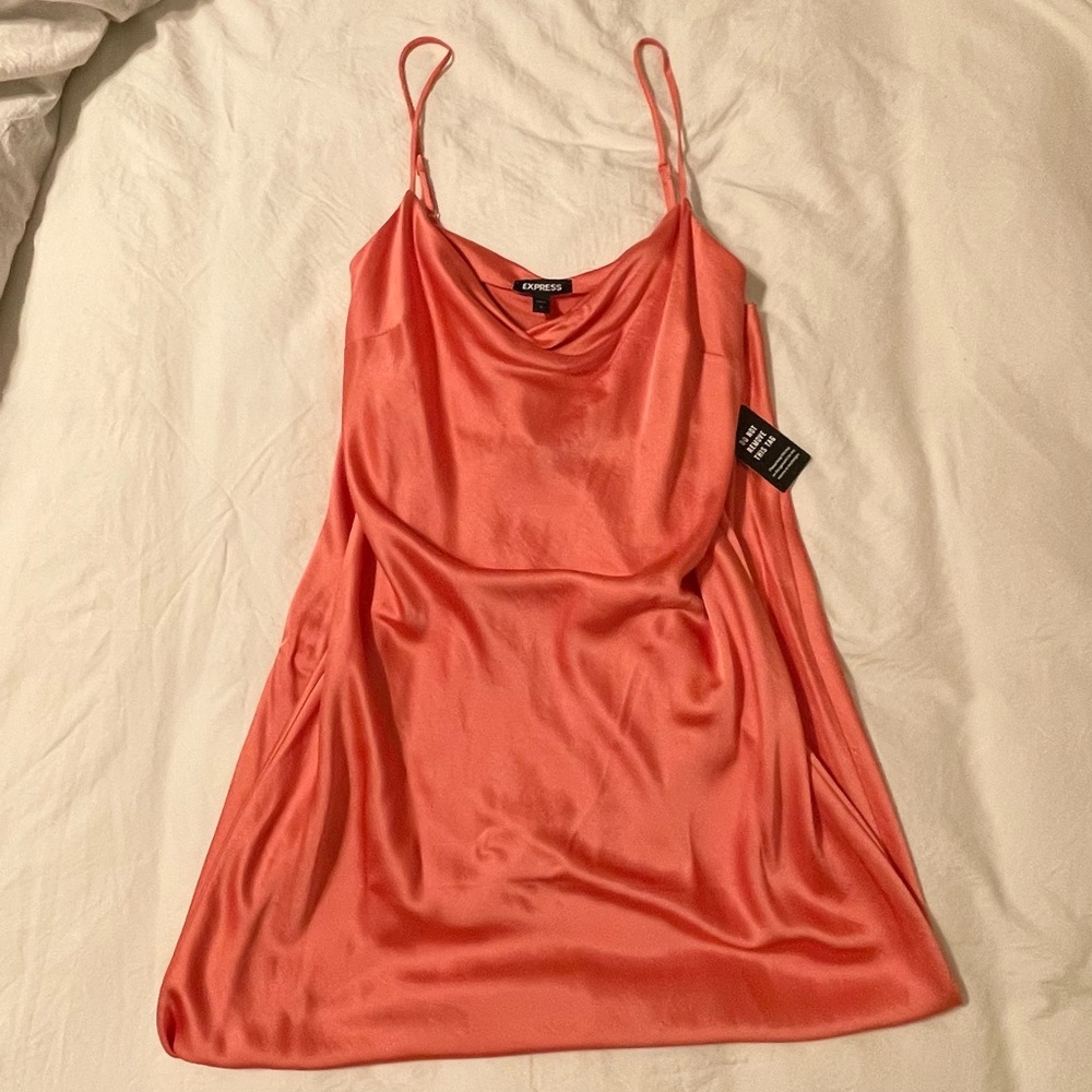Express Satin Dress